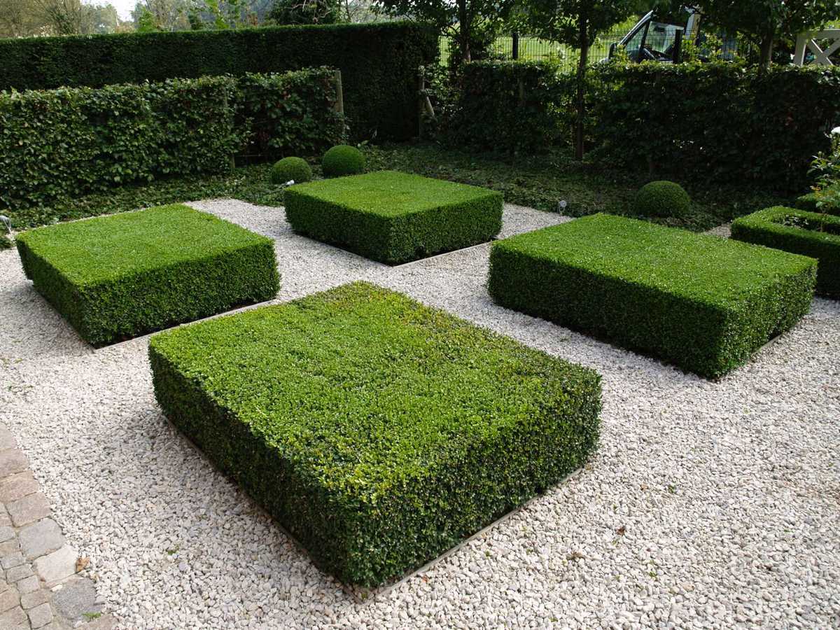 foto beplanting