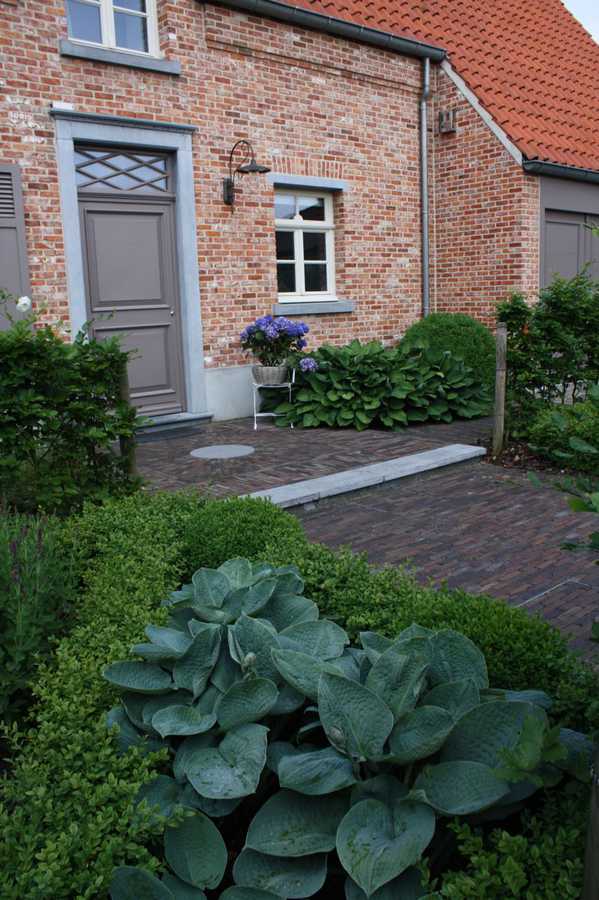foto beplanting