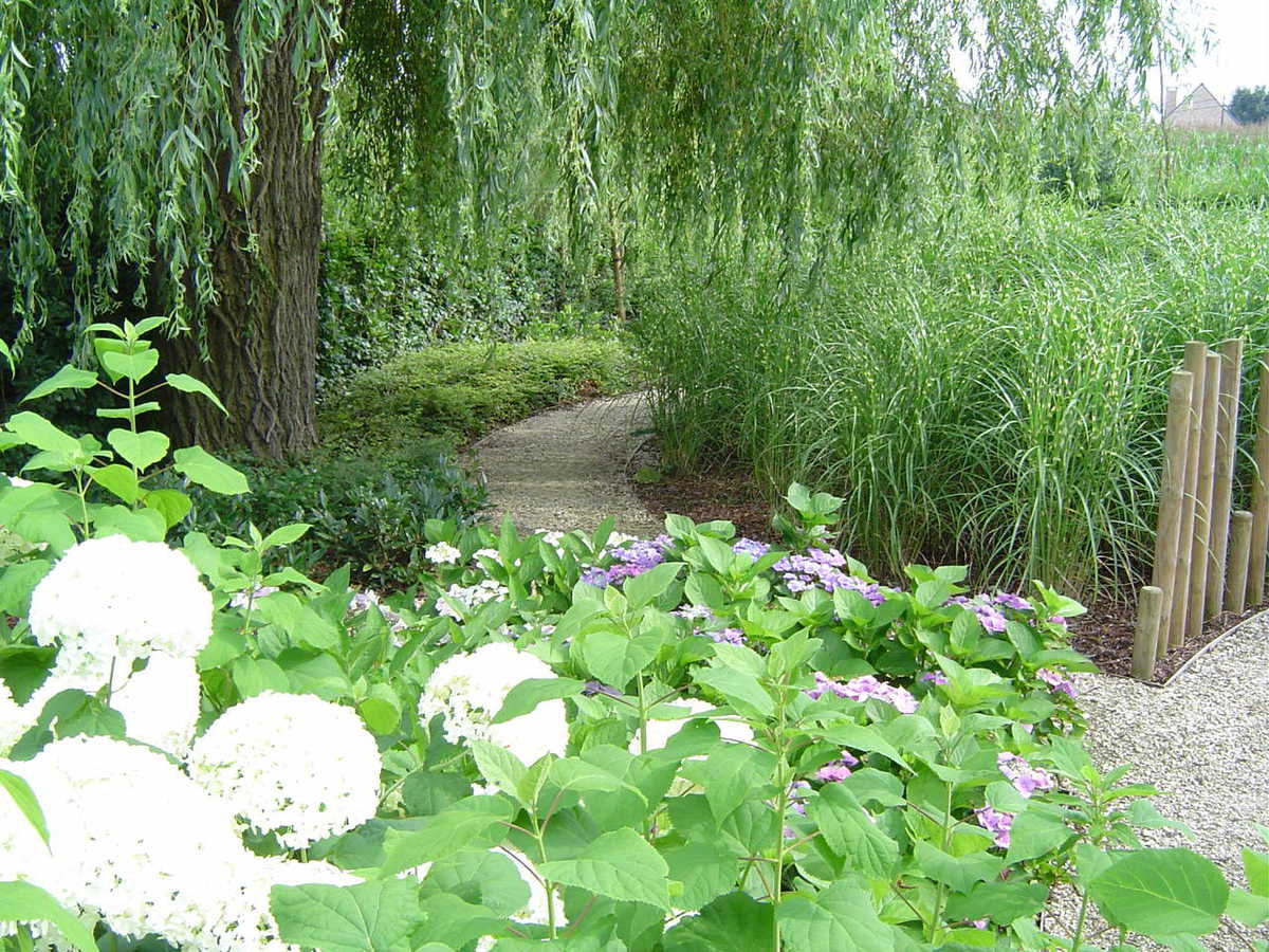 foto beplanting
