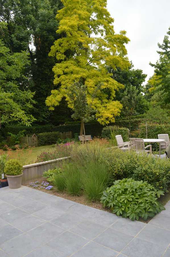 foto beplanting