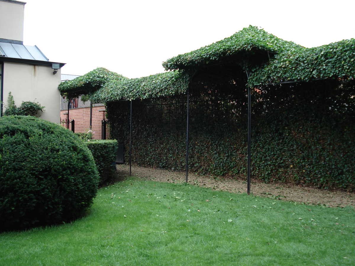 foto blikvangersindetuin